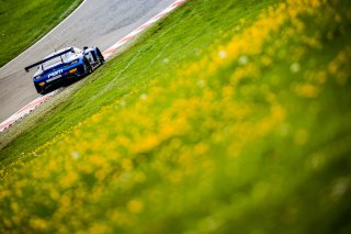 #77 - Haupt Racing Team - Jordan LOVE - Frank BIRD - Mercedes-AMG GT3 - SILVER, FGTWC, Race 2
