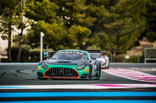 #81 Theeba Motorsport - Mercedes-AMG GT3, Prologue
