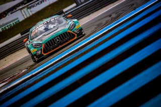 #81 - Theeba Motorsport - Alain VALENTE - Reema JUFFALI - Ralf ARON - Mercedes-AMG GT3 - BRONZE, GTWC, Qualifyings
