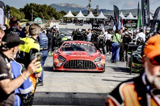 Gridwalk, Race
