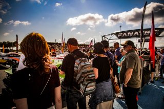 Ambiance, Grid Walk, Race
