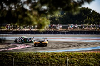 #87 - Mercedes AMG Team Akkodis ASP - Lorenzo FERRARI - Thomas DROUET - Maximilian GÖTZ - Mercedes-AMG GT3 - PRO, GTWC, Race
