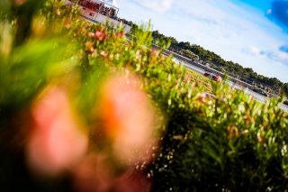#52 - AF Corse - Louis MACHIELS - Jef MACHIELS - Andrea BERTOLINI - Ferrari 488 GT3 - BRONZE, GTWC, Race
