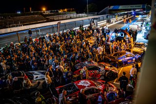 Celebration, Race

