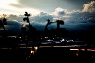 #911 - Pure Rxcing - Joel STURM - Aliaksandr MALYKHIN - Klaus BACHLER - Porsche 911 GT3 R (992) - BRONZE, GTWC, Race
