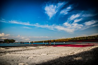 Track Walk
