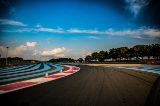 Track Walk

