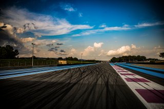 Track Walk
