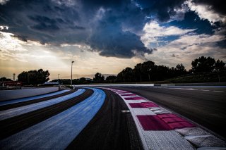 Track Walk
