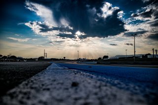 Track Walk
