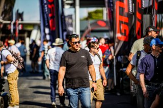 Ambiance, Paddock
