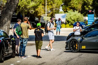 Ambiance, Paddock
