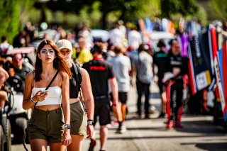 Ambiance, Paddock
