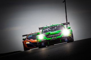 #54 - Dinamic GT - Christian ENGELHART - Adrien DE LEENER - Porsche 911 GT3 R (992) - PRO, Free Practice
