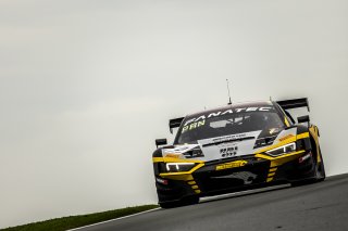 #9 - Boutsen VDS - Aurelien PANIS - Alberto DI FOLCO - Audi R8 LMS GT3 EVO II - GOLD, Free Practice
