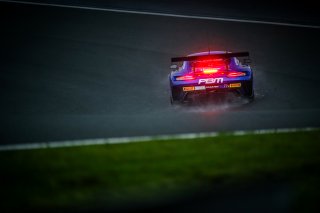 #77 - Haupt Racing Team - Jordan LOVE - Frank BIRD - Mercedes-AMG GT3 - SILVER
