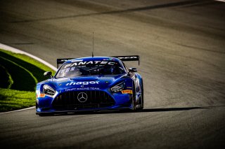 #77 - Haupt Racing Team - Jordan LOVE - Frank BIRD - Mercedes-AMG GT3 - SILVER
