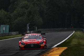 #79 - Haupt Racing Team - Mercedes-AMG GT3, Test Session
