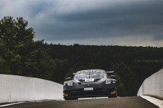 #91 - Herberth Motorsport - Porsche 911 GT3 R (991.II), Test Session
