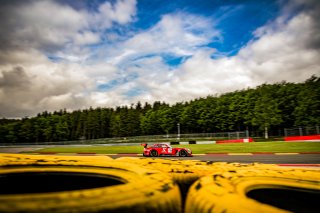 #79 - Haupt Racing Team - Mercedes-AMG GT3, Test Session
