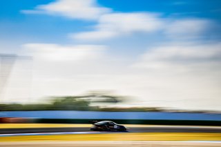 #91 - Herberth Motorsport - Robert RENAUER - Ralf BOHN - Porsche 911 GT3 R (992) - BRONZE, FGTWC, Free Practice
