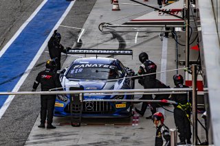 #77 - Haupt Racing Team - Jordan LOVE - Frank BIRD - Mercedes-AMG GT3 EVO - SILVER, FGTWC, Free Practice
