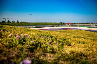 #81 - Theeba Motorsport - Fabian SCHILLER - Reema JUFFALI - Mercedes-AMG GT3 EVO - BRONZE, FGTWC, Race 2
