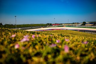 #52 - AF Corse - Andrea BERTOLINI - Louis MACHIELS - Ferrari 296 GT3 - BRONZE, FGTWC, Race 2
