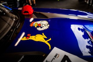 #77 - Haupt Racing Team - Jordan LOVE - Frank BIRD - Mercedes-AMG GT3 EVO - SILVER, FGTWC, Set Up
