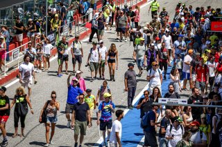 Pit Walk
