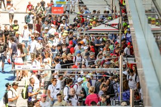 Pit Walk

