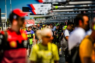 Ambiance, Pit Walk

