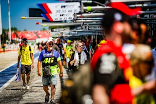 Ambiance, Pit Walk
