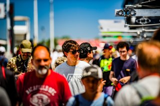 Ambiance, Pit Walk
