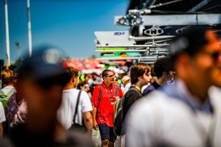 Ambiance, Pit Walk
