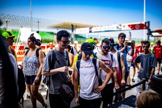 Ambiance, Pit Walk
