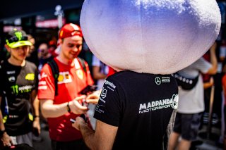 Ambiance, Pit Walk
