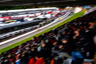 #51 - AF Corse - Francorchamps Motors - Alessio ROVERA - Robert SHWARTZMAN - Nicklas NIELSEN - Ferrari 296 GT3 - PRO, Ambiance, CrowdStrike 24 Hours of Spa, Race
