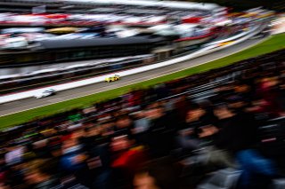 #64 - Haupt Racing Team - Matthew BELL - Naveen RAO - James COTTINGHAM - Frank BIRD - Mercedes-AMG GT3 - PRO-AM, Ambiance, CrowdStrike 24 Hours of Spa, Race
