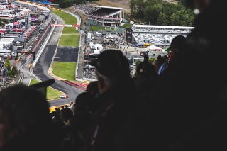 Race
