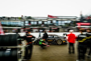 Grid Walk, Race
