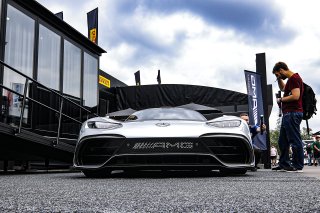 Paddock
