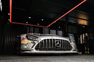 Paddock

