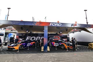 Paddock

