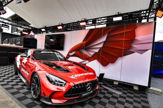 Paddock

