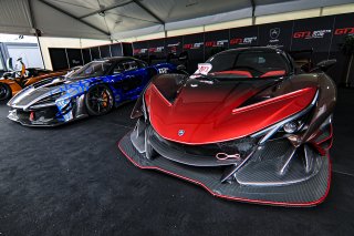 Paddock
