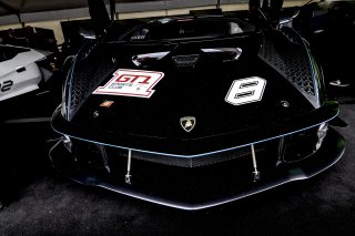 Paddock
