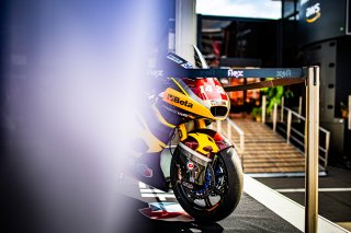 Paddock
