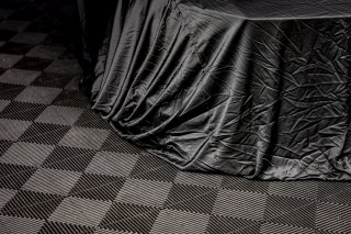 GT4 Mustang Reveal
