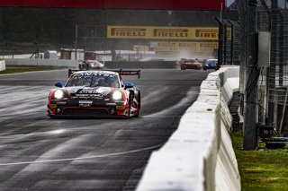 #44 - CLRT - Steven PALETTE - Stephane DENOUAL - Porsche 911 GT3 R (992) - BRONZE, FGTWC, Free Practice
